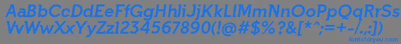 IndultaSemiserifBoldItalicFfp Font – Blue Fonts on Gray Background