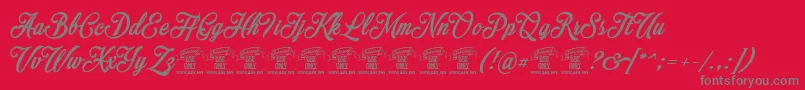 MocharyPersonalUseOnly Font – Gray Fonts on Red Background