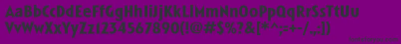 LinotypeSpitzBold Font – Black Fonts on Purple Background