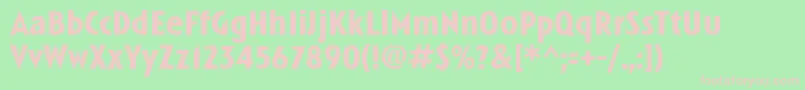 LinotypeSpitzBold Font – Pink Fonts on Green Background