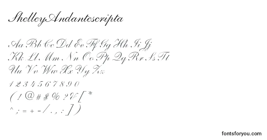 Шрифт ShelleyAndantescripta – алфавит, цифры, специальные символы