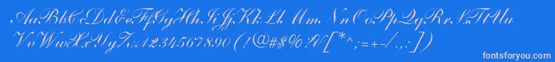 ShelleyAndantescripta Font – Pink Fonts on Blue Background