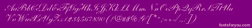 ShelleyAndantescripta Font – Pink Fonts on Purple Background