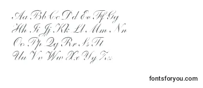 ShelleyAndantescripta Font