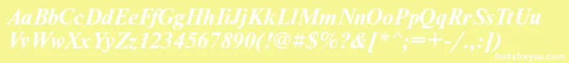 NewtoncfttBolditalic Font – White Fonts on Yellow Background
