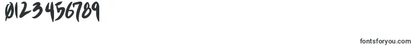 ShinakibapunxBold Font – Fonts for Numbers and Digits