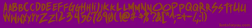 ShinakibapunxBold Font – Brown Fonts on Purple Background