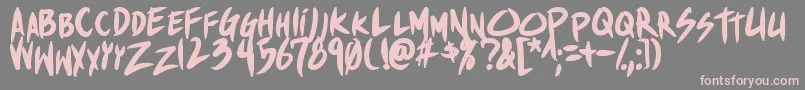 ShinakibapunxBold Font – Pink Fonts on Gray Background