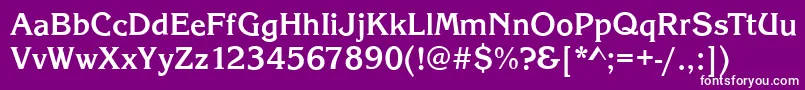 KingstonBold Font – White Fonts on Purple Background