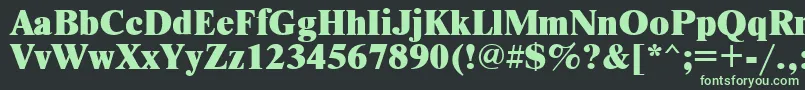 Newtonxctt Font – Green Fonts on Black Background