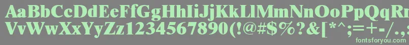 Newtonxctt Font – Green Fonts on Gray Background