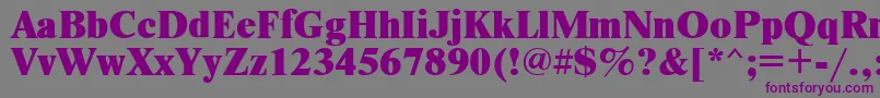 Newtonxctt-fontti – violetit fontit harmaalla taustalla