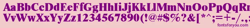 Newtonxctt Font – Purple Fonts on Pink Background