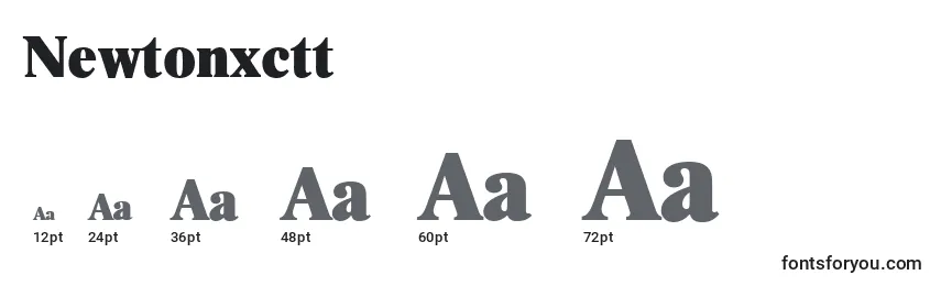 Newtonxctt Font Sizes