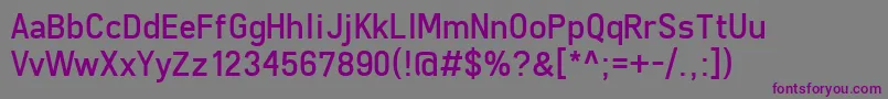 Шрифт FreeroadRegular – фиолетовые шрифты на сером фоне