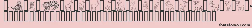 GeWildKingdomLToO Font – Black Fonts on Pink Background