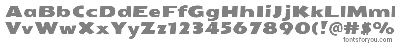 フォントSeymouroneRegular – 白い背景に灰色の文字