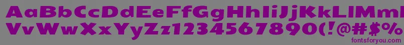 SeymouroneRegular Font – Purple Fonts on Gray Background