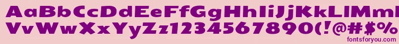 SeymouroneRegular Font – Purple Fonts on Pink Background