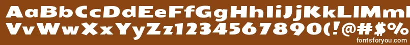 SeymouroneRegular Font – White Fonts on Brown Background