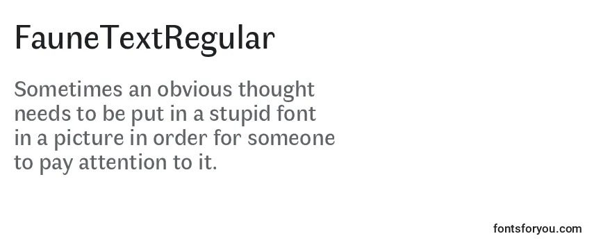 Review of the FauneTextRegular (79201) Font