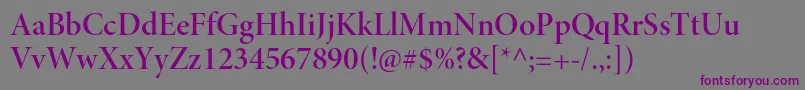 MinionproSemibolddisp Font – Purple Fonts on Gray Background