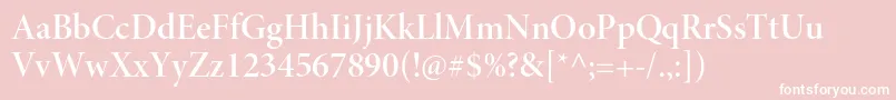 フォントMinionproSemibolddisp – ピンクの背景に白い文字