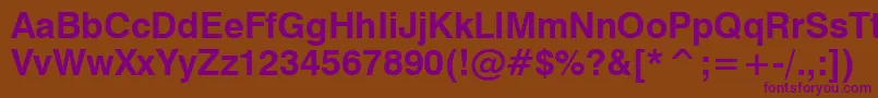 Swiss721BoldWin95bt Font – Purple Fonts on Brown Background