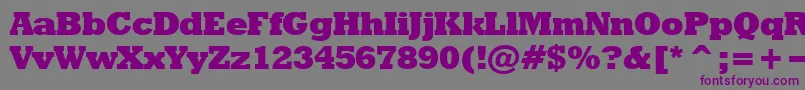Шрифт Rodeoextrabold – фиолетовые шрифты на сером фоне