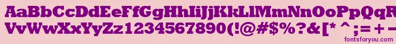 Rodeoextrabold Font – Purple Fonts on Pink Background