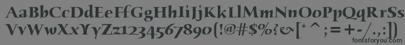 フォントHumanaSerifItcBold – 黒い文字の灰色の背景