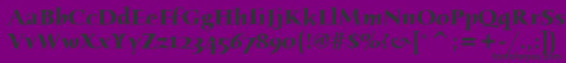 HumanaSerifItcBold Font – Black Fonts on Purple Background