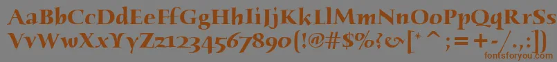 HumanaSerifItcBold Font – Brown Fonts on Gray Background