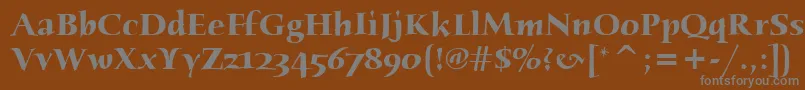 フォントHumanaSerifItcBold – 茶色の背景に灰色の文字