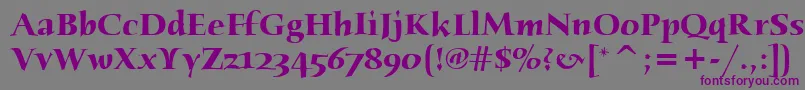 HumanaSerifItcBold Font – Purple Fonts on Gray Background