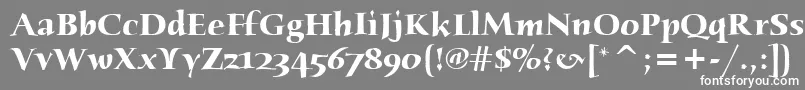 フォントHumanaSerifItcBold – 灰色の背景に白い文字