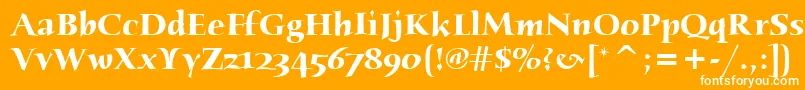 HumanaSerifItcBold Font – White Fonts on Orange Background