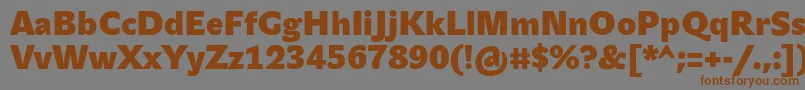 JohnsansHeavyProBold Font – Brown Fonts on Gray Background