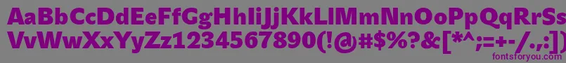 JohnsansHeavyProBold Font – Purple Fonts on Gray Background