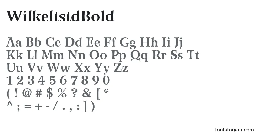 Fuente WilkeltstdBold - alfabeto, números, caracteres especiales