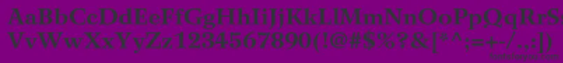 WilkeltstdBold Font – Black Fonts on Purple Background