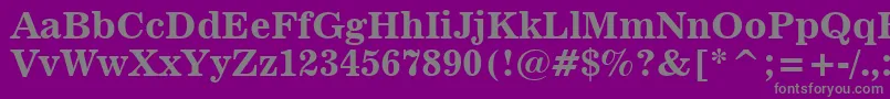 News701BoldBt-Schriftart – Graue Schriften auf violettem Hintergrund