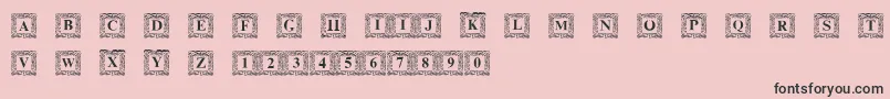 DsInitNormal-Schriftart – Schwarze Schriften auf rosa Hintergrund