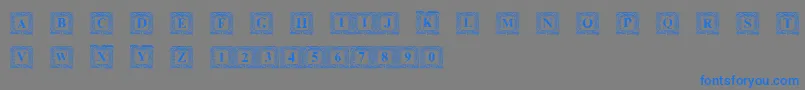 Lisätietoja DsInitNormal-fontista DsInitNormal-fontti – siniset fontit harmaalla taustalla