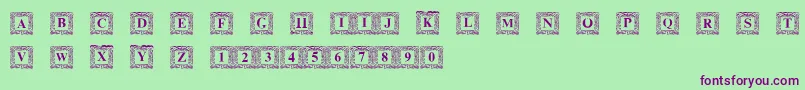 DsInitNormal Font – Purple Fonts on Green Background