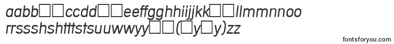 フォントMercedesItalic – ハウスフォント