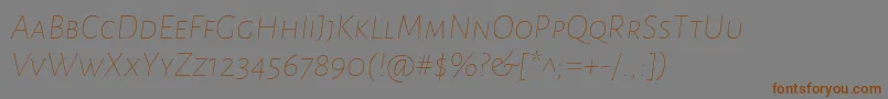 En savoir plus sur la police AlegreyasansscThinitalic Police AlegreyasansscThinitalic – polices brunes sur fond gris