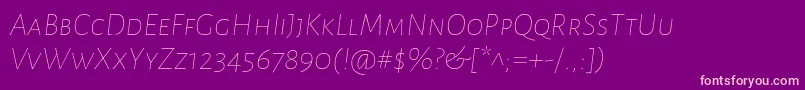 AlegreyasansscThinitalic Font – Pink Fonts on Purple Background