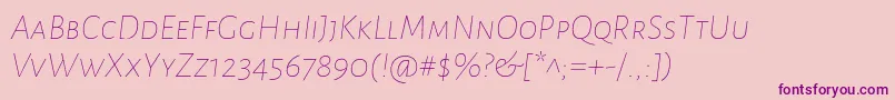 AlegreyasansscThinitalic Font – Purple Fonts on Pink Background
