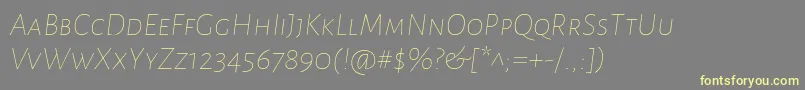 AlegreyasansscThinitalic Font – Yellow Fonts on Gray Background